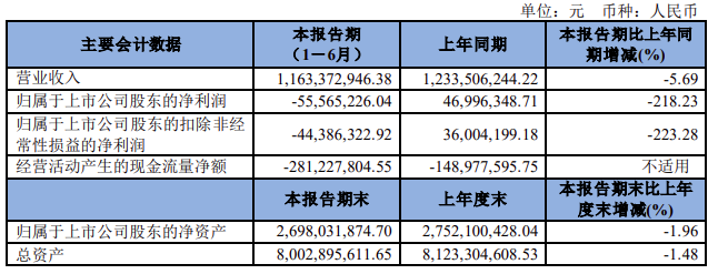 亿博电竞 亿博官网白云电器：2022年上半年亏损555652