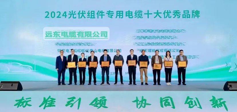 重磅！远东电缆摘“2024光伏组件专用电缆十大优亿博电竞 亿博官网秀品牌”桂冠(图4)